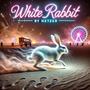 White Rabbit