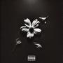 Flowers (Explicit)