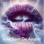 Inte Som De Andra (Explicit)