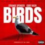 BIRDS (feat. CODY NASH) [Explicit]