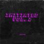 Initiated Vol.2 (Explicit)