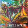 Little Secrets