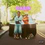 Cabin Fever (Explicit)