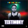 TESTIMONY