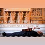 Cello Suite No. 1 in G Major: Prélude (10-string guitar arrangement)