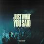 Just What You Said (feat. Hailey Gonzalez) [Live]