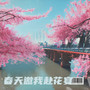 春天邀我赴花宴