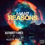 MANY REASONS (feat. AUTHORITY ANEX) [Explicit]