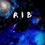 Rib