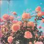 IL Music presents The Summer Pack