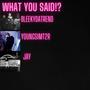 what u said! (feat. youngsimt2r & jay!)