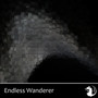 Endless Wanderer