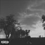 DECIEVER (Explicit)