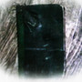 Dear Diary (Explicit)