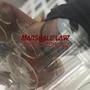 Auferstehung (Explicit)