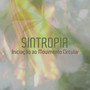 Sintropia - Iniciação ao Movimento Circular