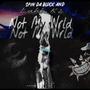 Not My WRLD (Explicit)