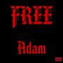 Free Adam (Explicit)