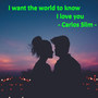 I Want the World to Know I Love You