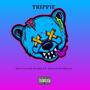 Trippie (feat. Moneii Scorseze) [Explicit]