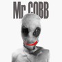 Mr Cobb