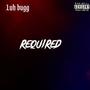 Required (Explicit)