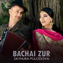 Bachai Zur