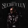 Secret Luv (Explicit)