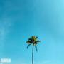 Sunny Skies & Palm Trees (Explicit)