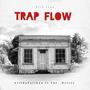 Trap flow (feat. Ynt._Drizzy) [Explicit]