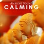 Calming: Liquid Night Music for Deep Sleep, Calm the Mind before Sleeping, Ambient Sounds