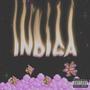 INDICA (Explicit)