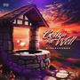 Coin in the Well (Explicit)