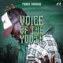 Voice Of The Youth (Explicit)