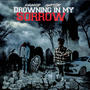 DrownInMySorrow (feat. Gwpstar) [Explicit]