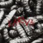 LARVA (feat. Poco Conto) [Explicit]