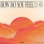 How Do You Feel (feat. Jan Liva)