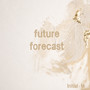 future forecast