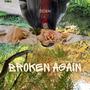 Broken Again