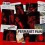 Permanent Pain (Explicit)