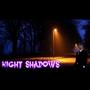 Night Shadows (2013)