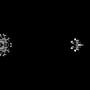 Fissure & Fracture