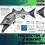 Barracuda (feat. Biskhit) [Remix] [Explicit]