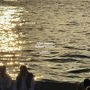 After Sunset, Before Sunrise