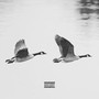 Canada Geese (Explicit)