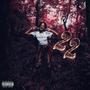 6IX FLAGS (sped up) [Explicit]