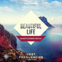 Beautiful Life (Gareth Emery Remix)