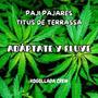 Adáptate y fluye (feat. Titus de Terrassa & Kogollada Crew) [Explicit]