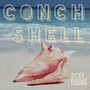 Conch Shell