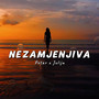 Nezamjenjiva